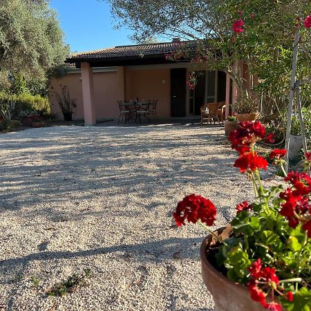 Casa Rosmarino Villa San Giovanni  Eksteriør bilde
